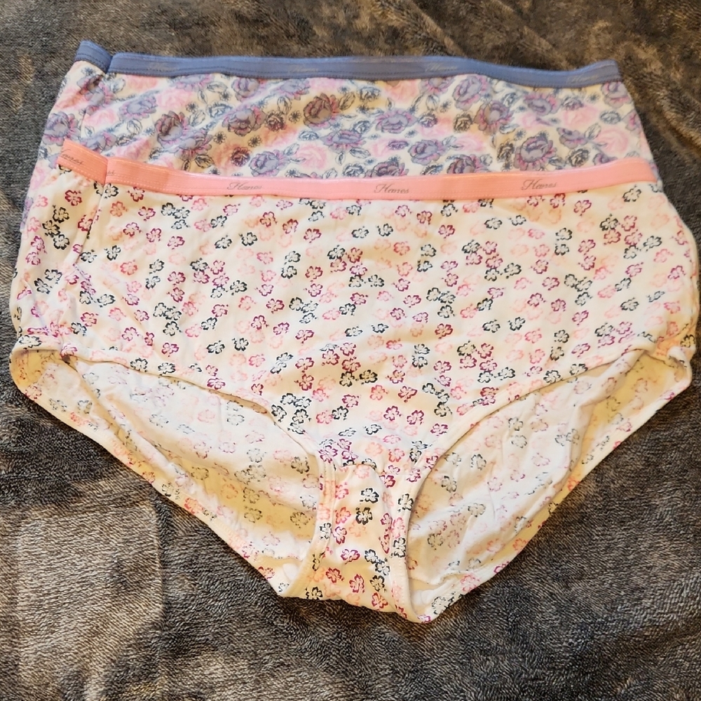 Hanes Women’s Floral Cotton Briefs – Pink and Lavender